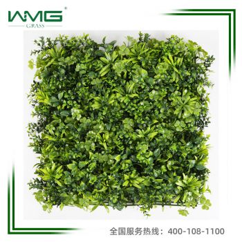 WMG001绿植产品