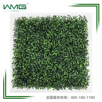 WMG503GB（浅色）